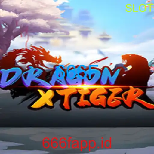 DragonXTiger